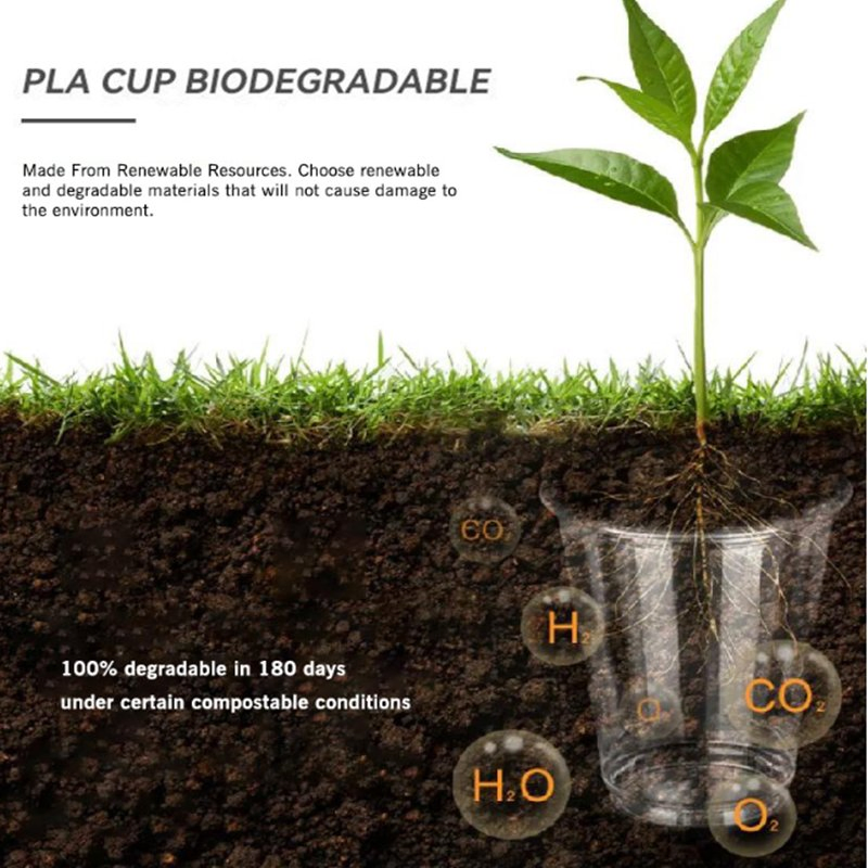 Custom Compostable Transparent Cups Biodegradable Plastic PLA Cups with PLA Lid