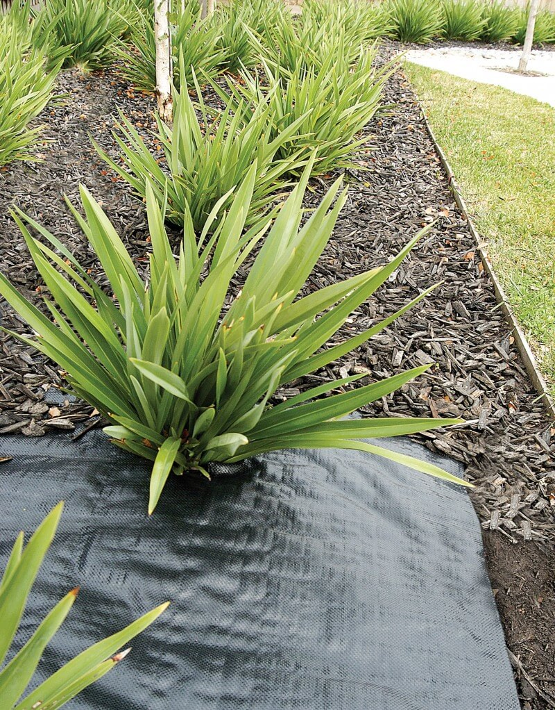 PP Woven Weed Control Fabric Weed Mat Anti Grass Weeding Cloth Ground Cover Weed Control Barrier Mat Landscape Fabric