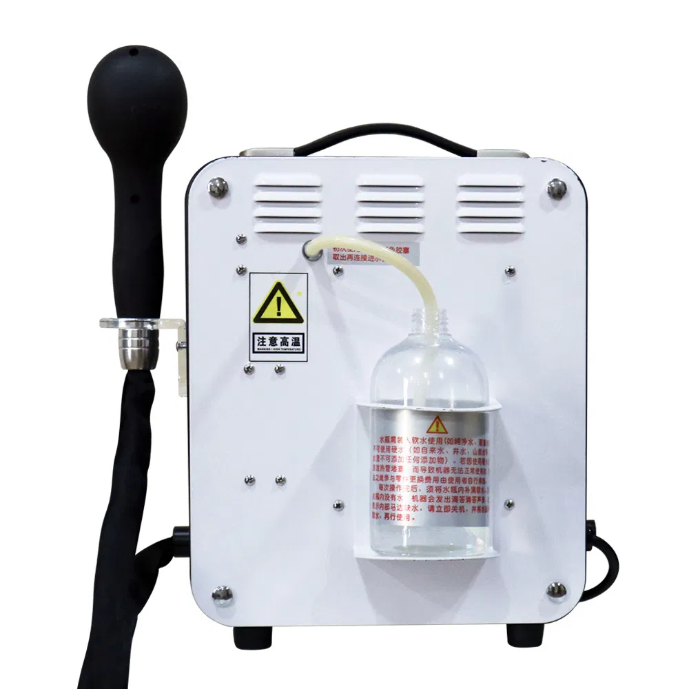 Blue Light Sterilizer Mist Hair Spray Steam Nano Iron SPA