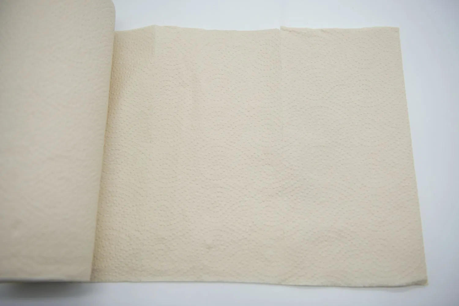 Bamboo Pulp 2 Ply Kitchen Paper Strong Jumbo Roll