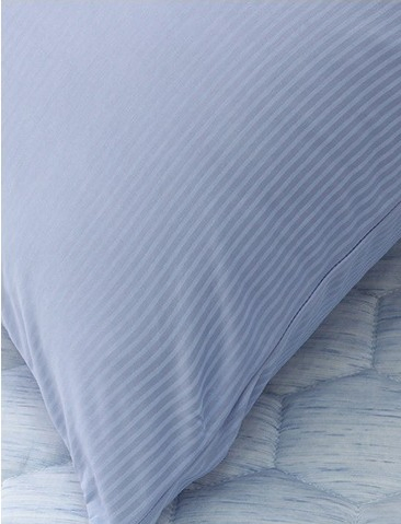 Hot Sale Pillow Supplier Soft Washable Breathable Summer Cooling Sleeping Cold Feeling Pillow Case Cover