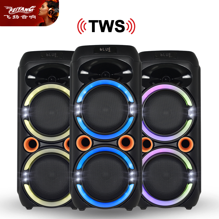 Feiyang New Dual 6.5" Promotion Portable Party Speaker Fg206-17