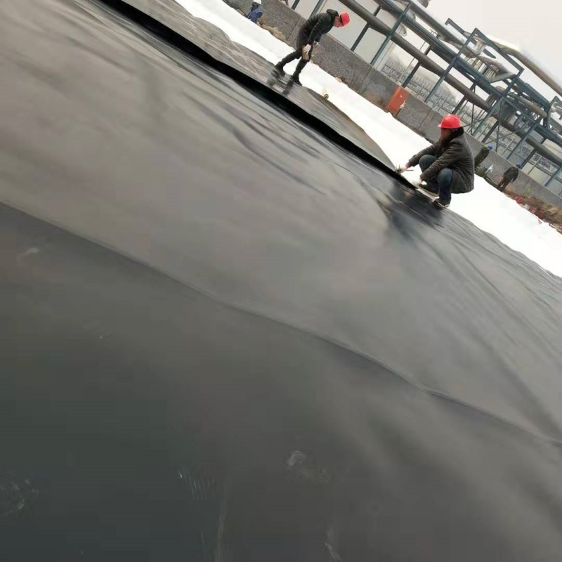 All-Season Geomembrane Fish Pond Liner for Year-Round Fish Care Fish Hatchery Ponds, Lake Bottom Lining and Water Containment