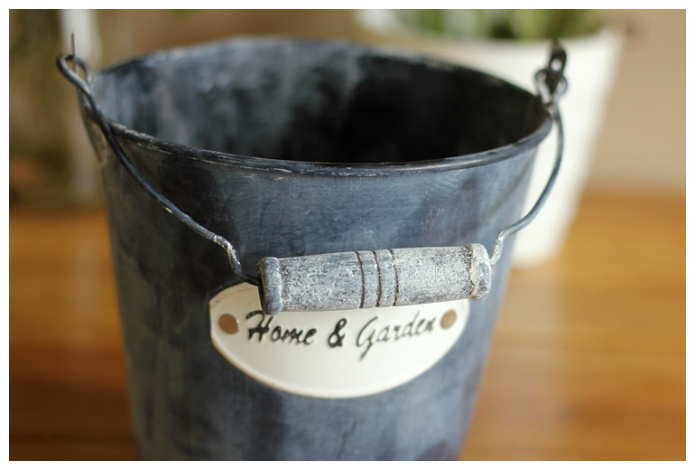 Galvanized Pail Mini Metal Bucket for Flowers or Unique Goody