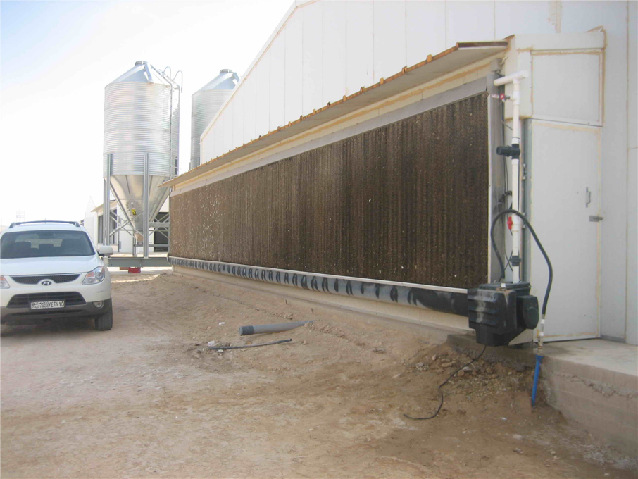 High Quality Prefab Steel Frame Broiler House