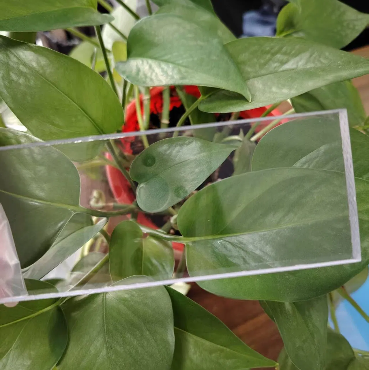 1.5mm~20mm Thickness Solid Polycarbonate Sheet/PC Sheet