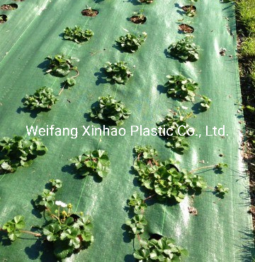 100g 3.5oz Weed Mat with Holes