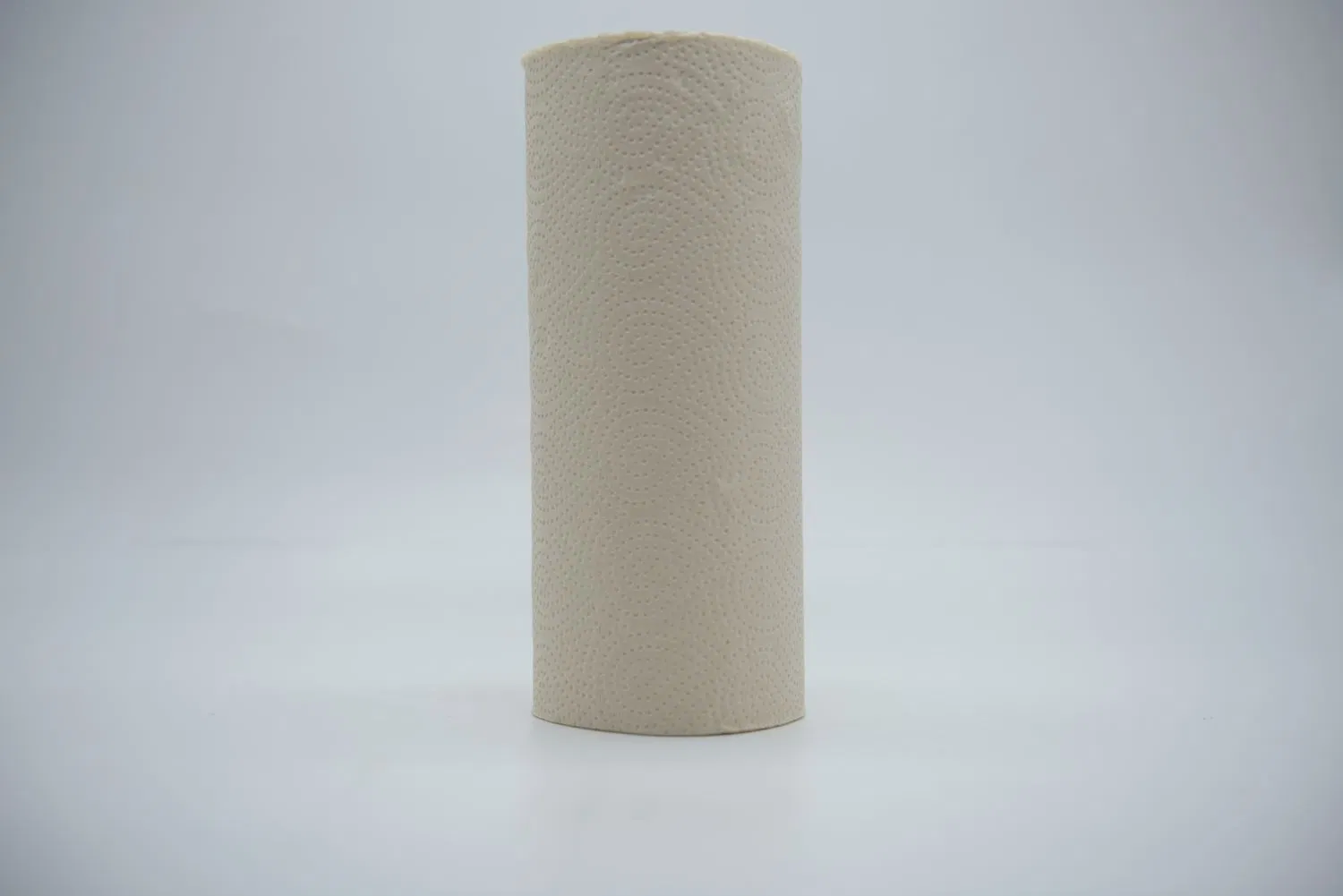 Custom Bamboo Pulp Jumbo Roll Kitchen Paper Absorbent Strong 2 Ply Tissue