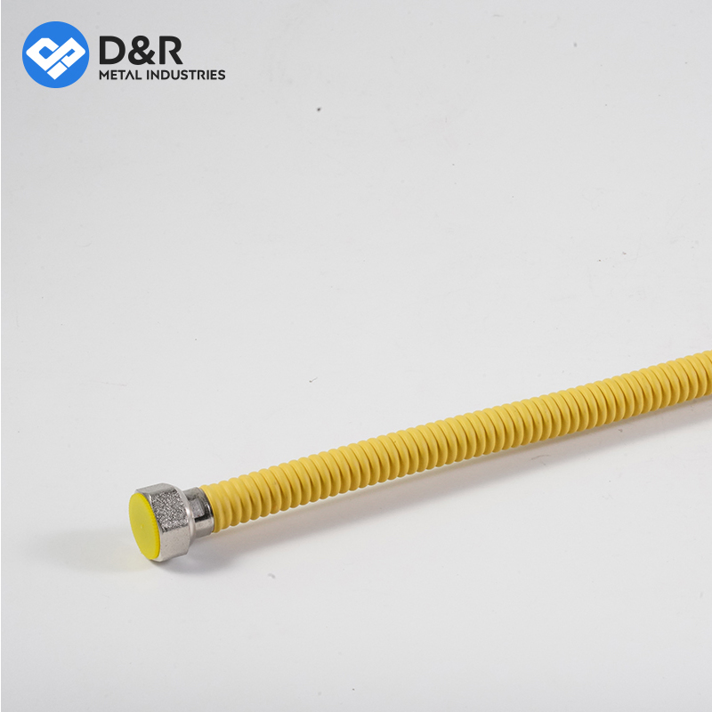 D&R Good Quality 1/2~1" 30cm~50cm SS304 with Brass Screw Flexible Gas Hose