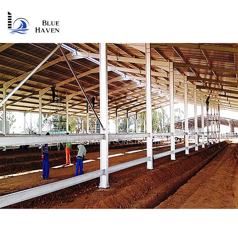Prefab Chicken Farm Building and Automatic Controlled Poultry Farm Shed