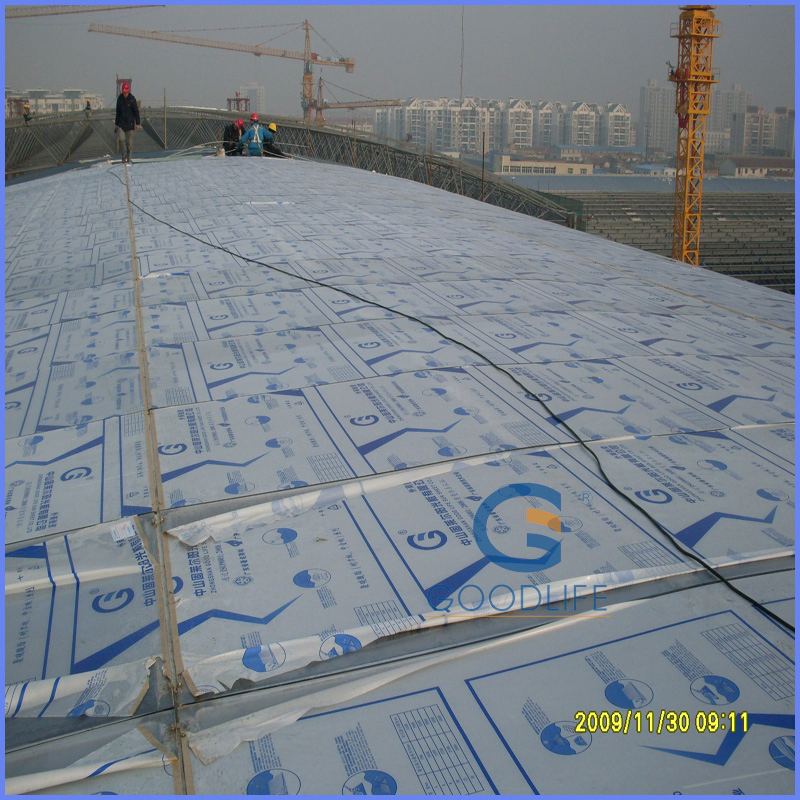 100% Bayer Virgin Material 4/6/8/10/12 mm Polycarbonate Hollow Sheet