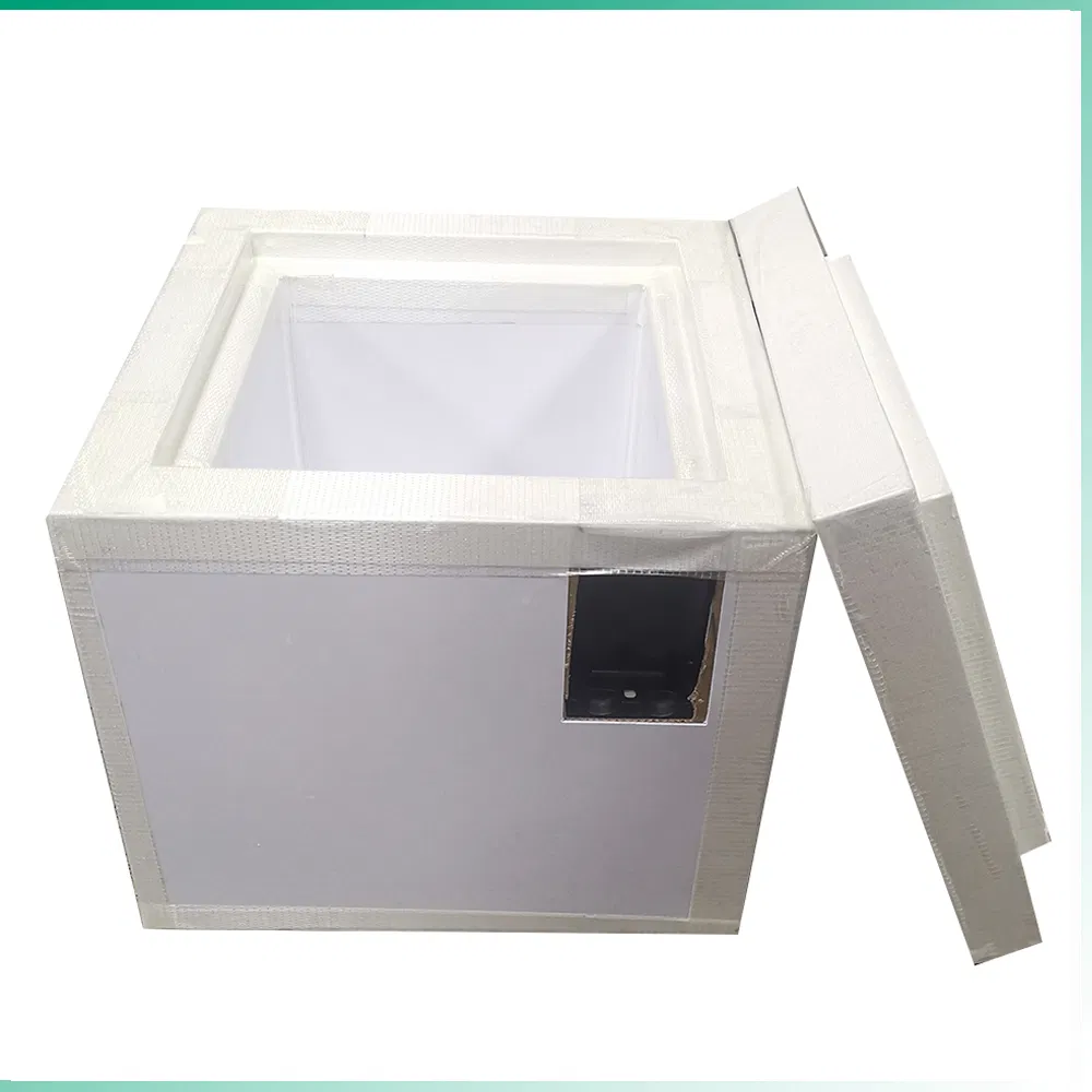 Polyurethane Foam with VIP Panel for Insulation Box or Cooler Box