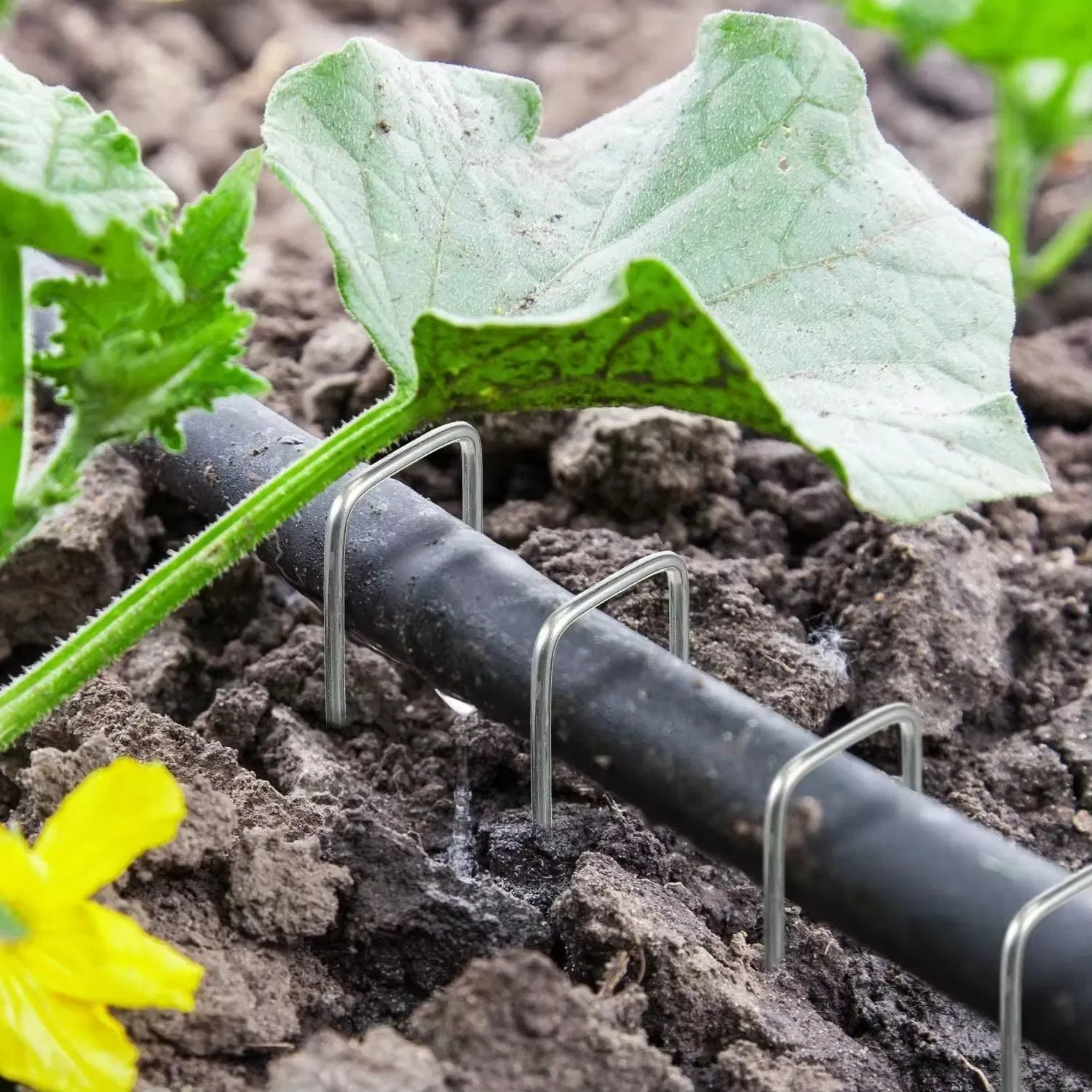 Galvanized Artificial Turf Fixing Staples Turf Lawn U Shape Steel Nail for Garden Grass Installation