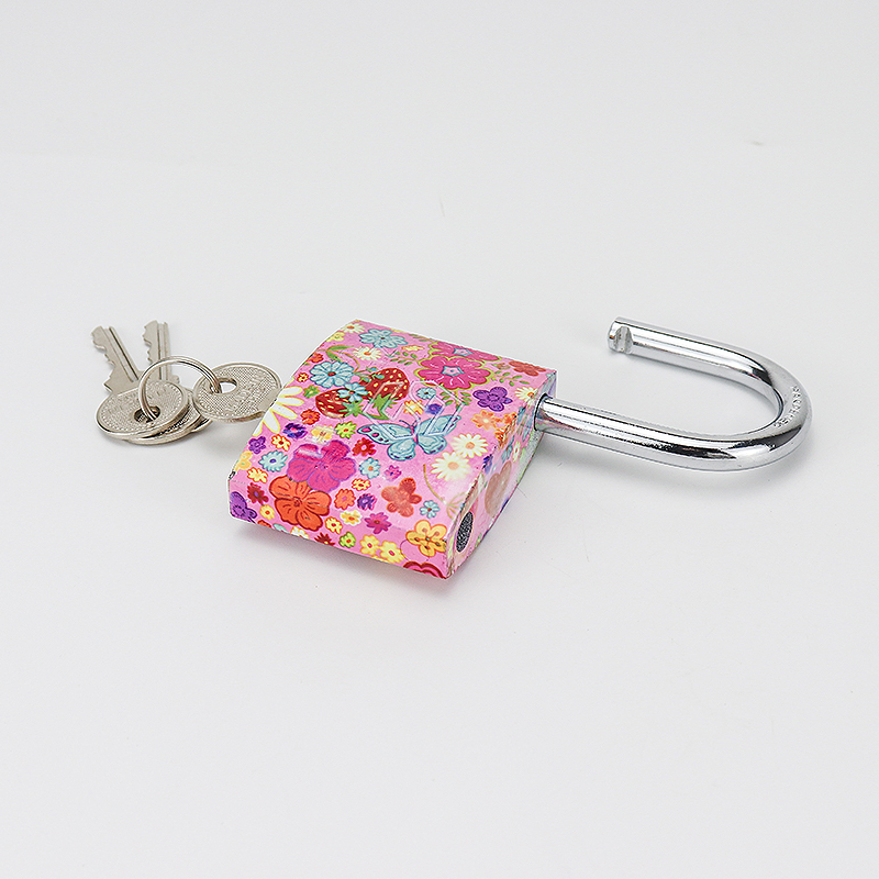 Hardware Tools 20-60mm Safety Protection Solid Keys Color Printing Square Iron Padlock