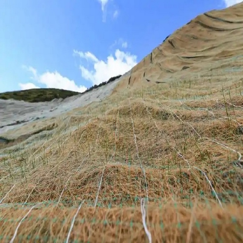 Tr Coconut Fiber Erosion Control Blanket for Sustainable Soil Stabilization