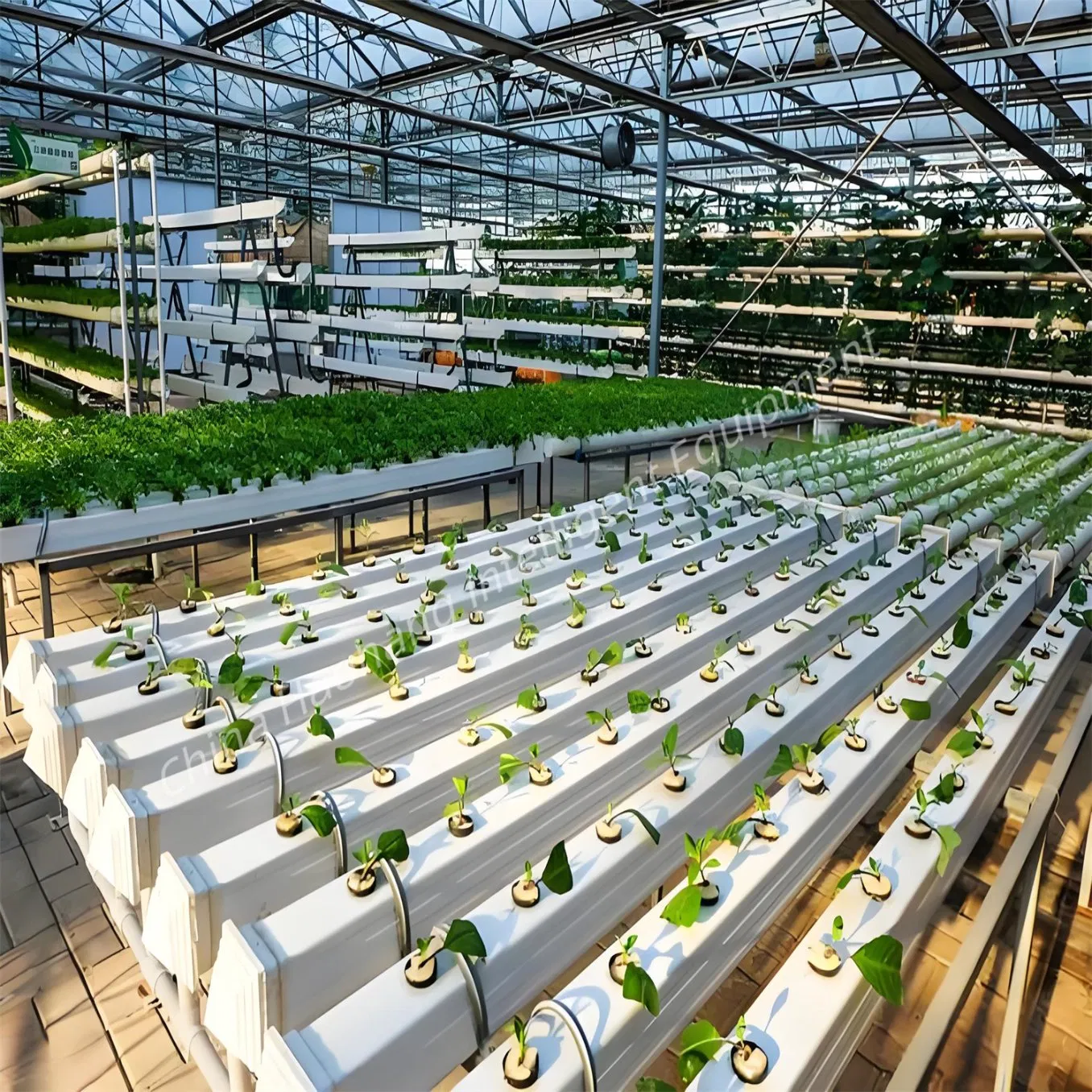 Cheap Tomato Vegetable Greenhouse
