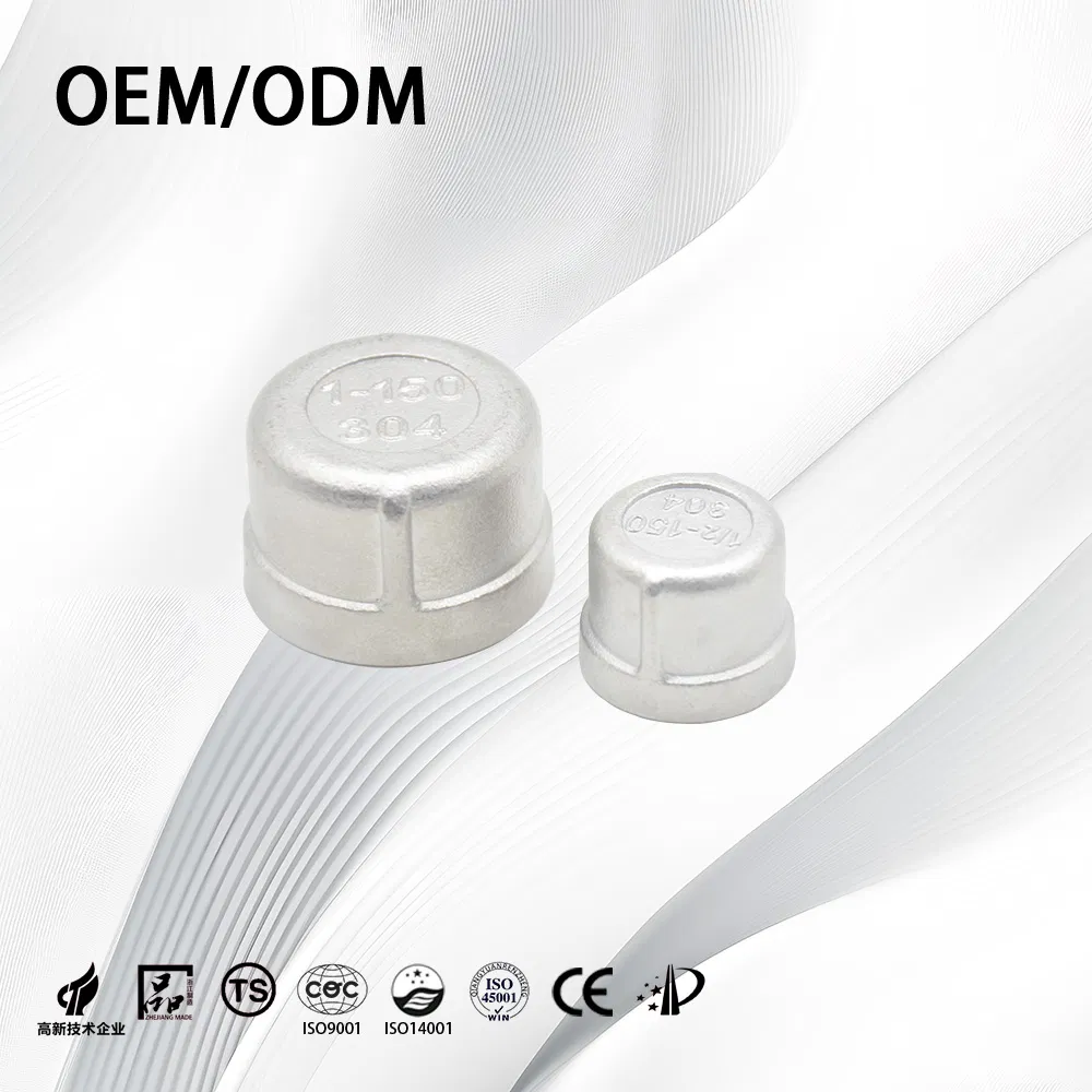 Stainless Steel End Cap ANSI B16.9 ASME B16.9 Sch80/Threaded/Butt Weld/Pipe Fitting
