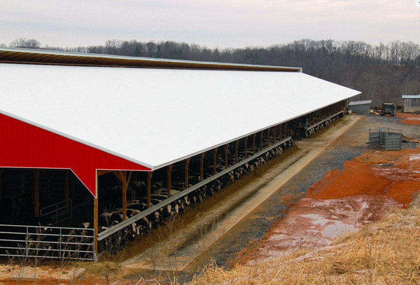 Hot DIP Galvanized Steel Structure Frame Cow Cattle Sheep Warehouse Farm Shed
