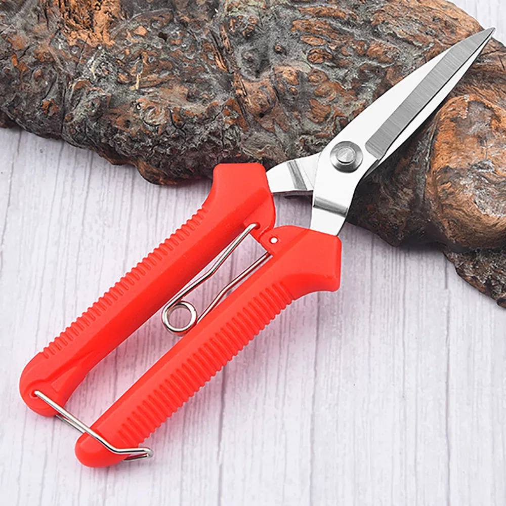 Stainless Steel Extra Long Edge Pruning Shears Fruit Tree Bonsai Garden Scissors Esg21618