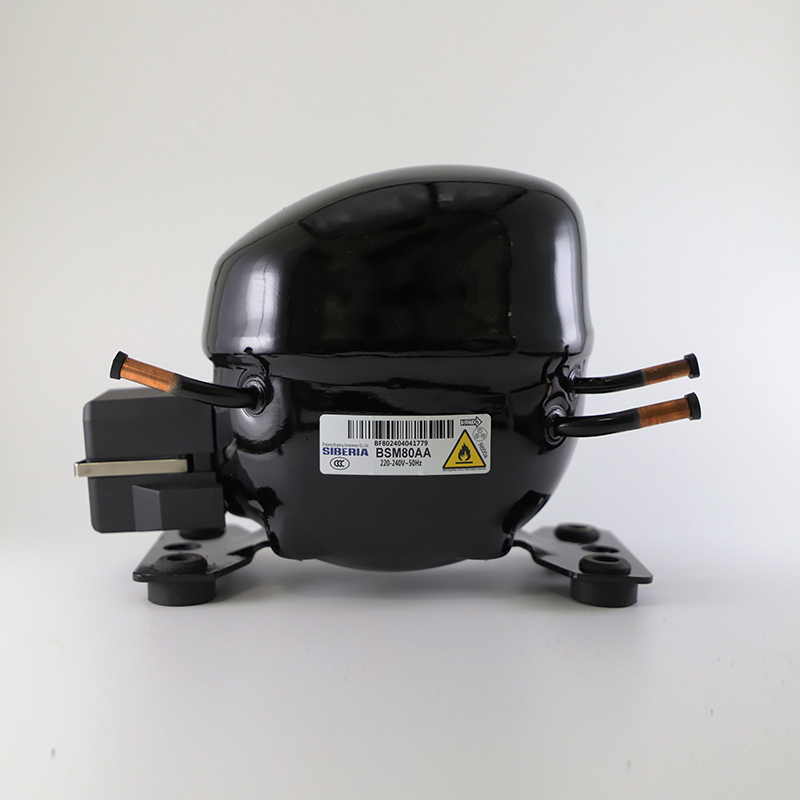Freezer AC Refrigerator Compressor V Series Bvd35AA R600A 220-240V with High Quality and Factory Price