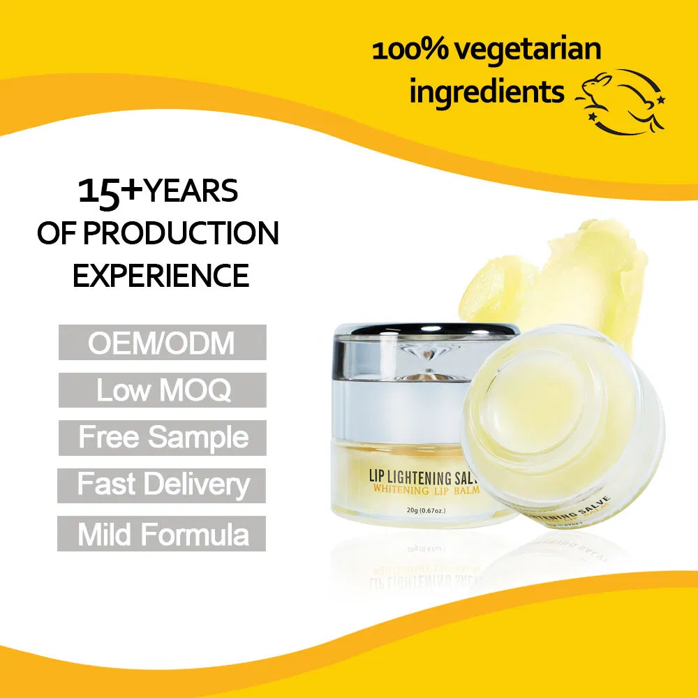 Lip Care Moisturizing Anti-Chapped Pineapple Lip Balm