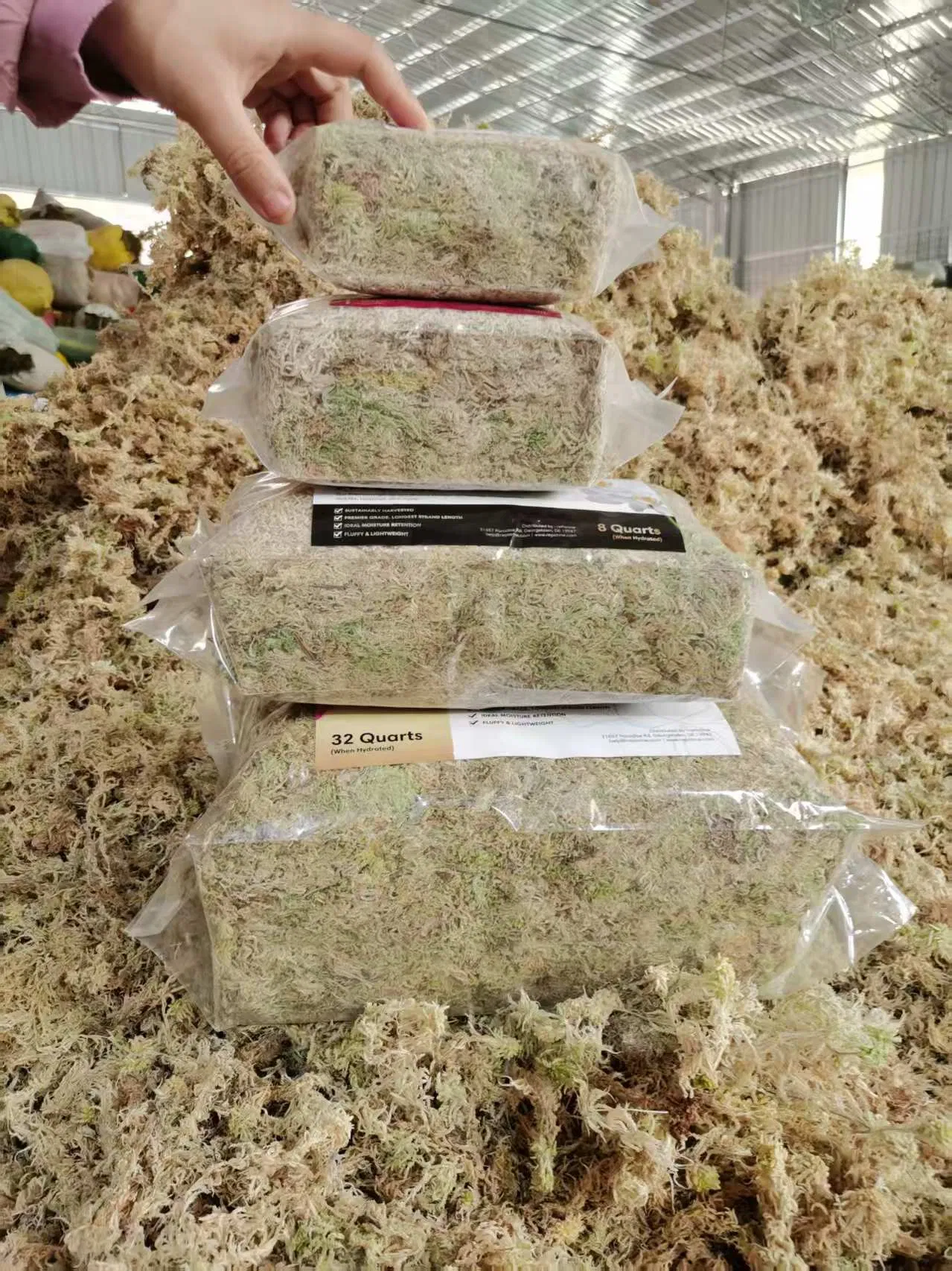 OEM Custom Wholesale 6A Grade 6L 12L 100g 200g 500g 1kg 5kg Sphagnum Moss for Orchid Plants & Reptile Pets