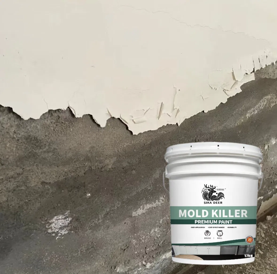 Excellent Anti-Salt and Anti-Alkali Performance Mold Killer Coating