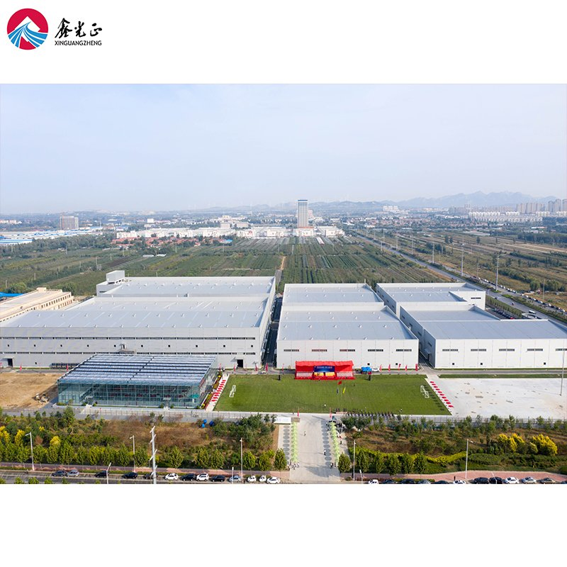 Customizable Steel Structure Hotel Building for Global Markets