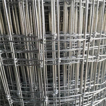 2X4 Square Deal Non-Climb Horse Fence