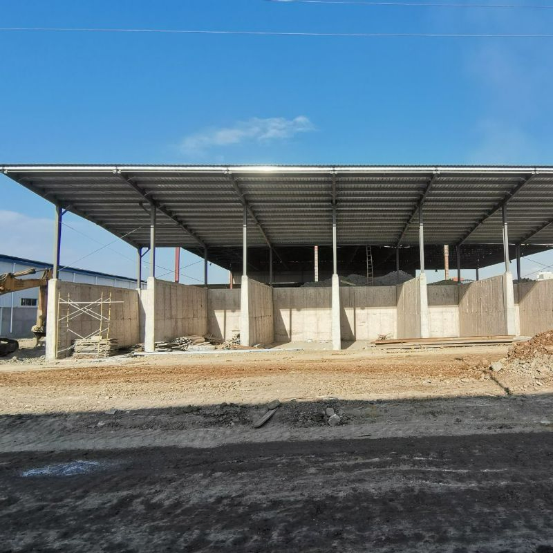 Prefabricated Light Steel Frame Car Garage Auto Repair Warehouse (XGZ-SSWH010)