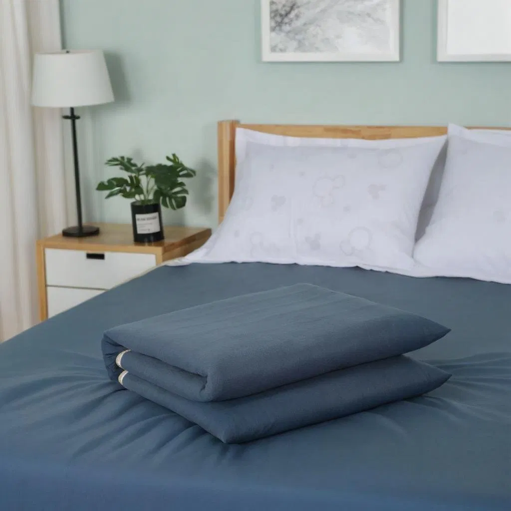 Smart Plumbing Mattress Hydrothermal Electric Blanket, Heated Blanket for Winter Temperature Control