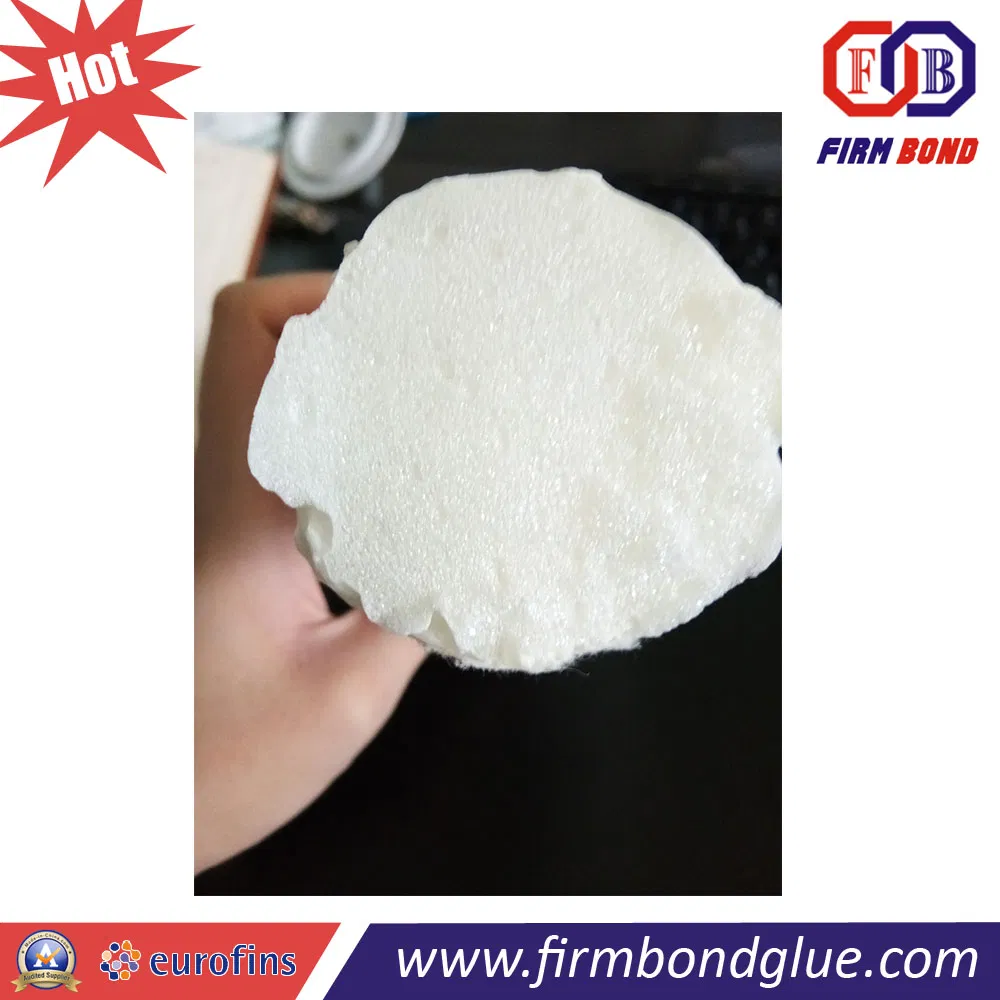 Firm Bond Multi-Use PU Foam 750ml