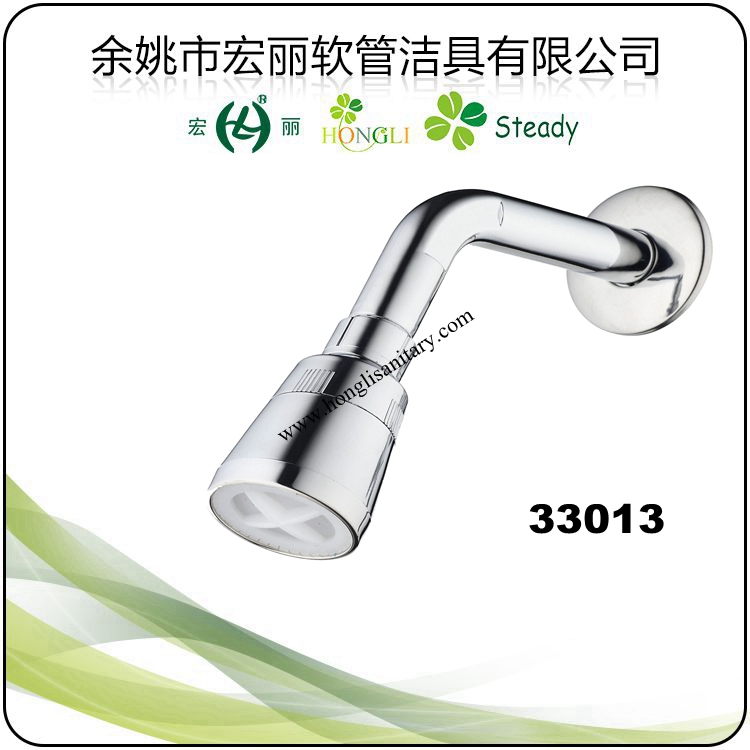 33013 Chrome Plated Economic Shower Head with Shower Arm
