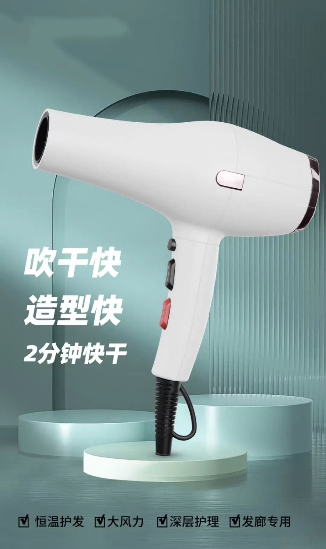 Professional 2400W High-Power Hairdressing Salon Hairdryer