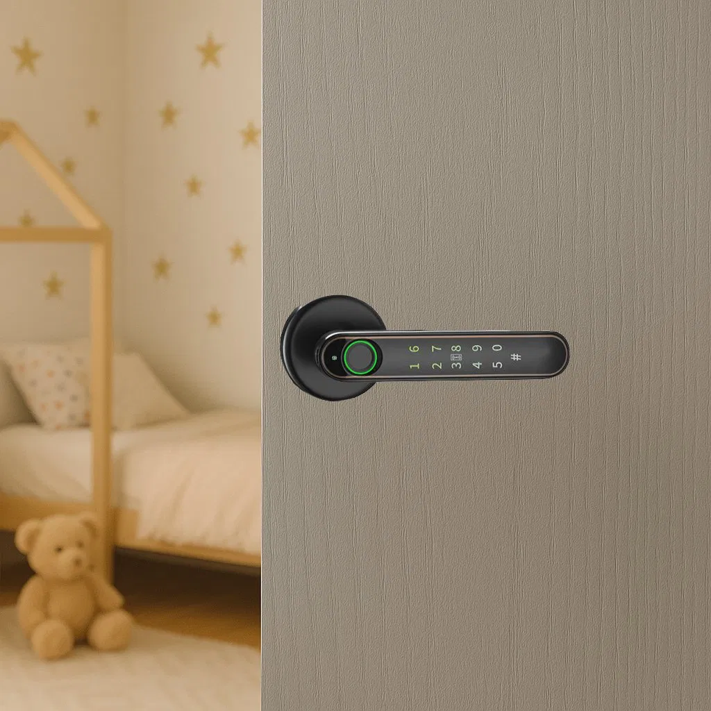 Aixd Hot Item Simplisafe Smart Lock Best Rated Smart Locks Hornbill Smart Lock Tuya Bluetooth WiFi From Factory Manufactory Workshop 198