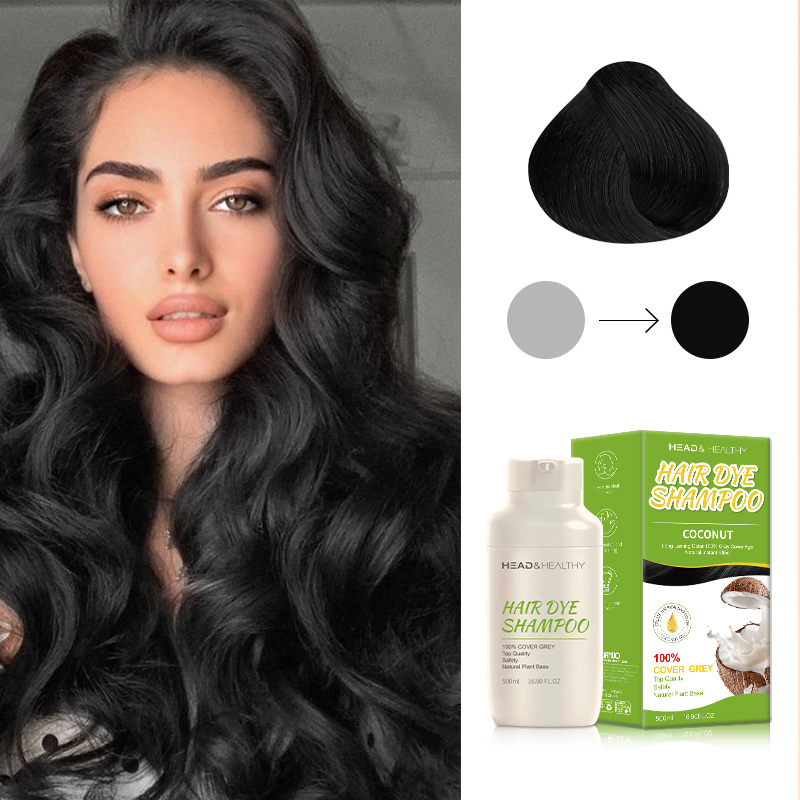 500ml Hair Dye Shampoo - Cinema Speed Argan Oil for Black Hair