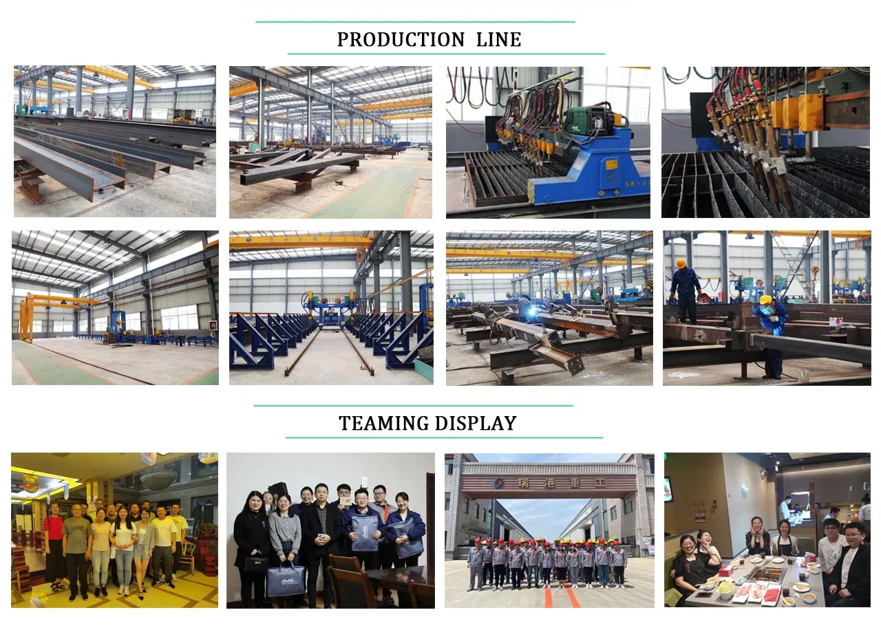 Prefab Galvanized Steel Chicken Farm with Automatic Equipments