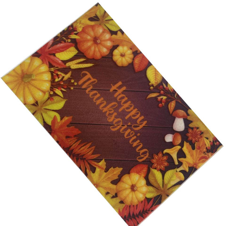 3D Digital Printing Pattern Kitchen Bathroom Anti-Slip Entrance Door Mat