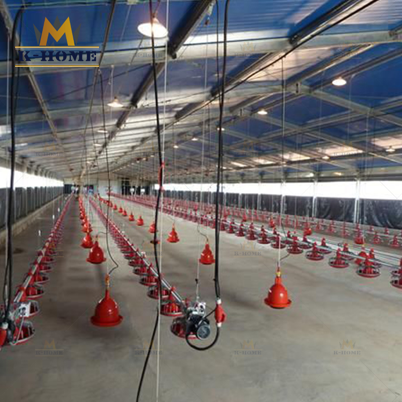 Modern Design Steel Structure Chicken Poultry Breeding Shed Poultry Farm