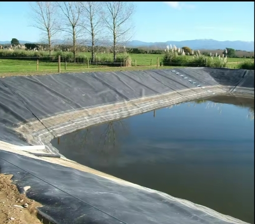 Black 1.0mm HDPE Liners Sheet for Artificial Lake Project Geomembrane Price