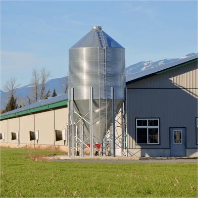 Premium Chicken House with Complete Poultry Equipment Set for Sale