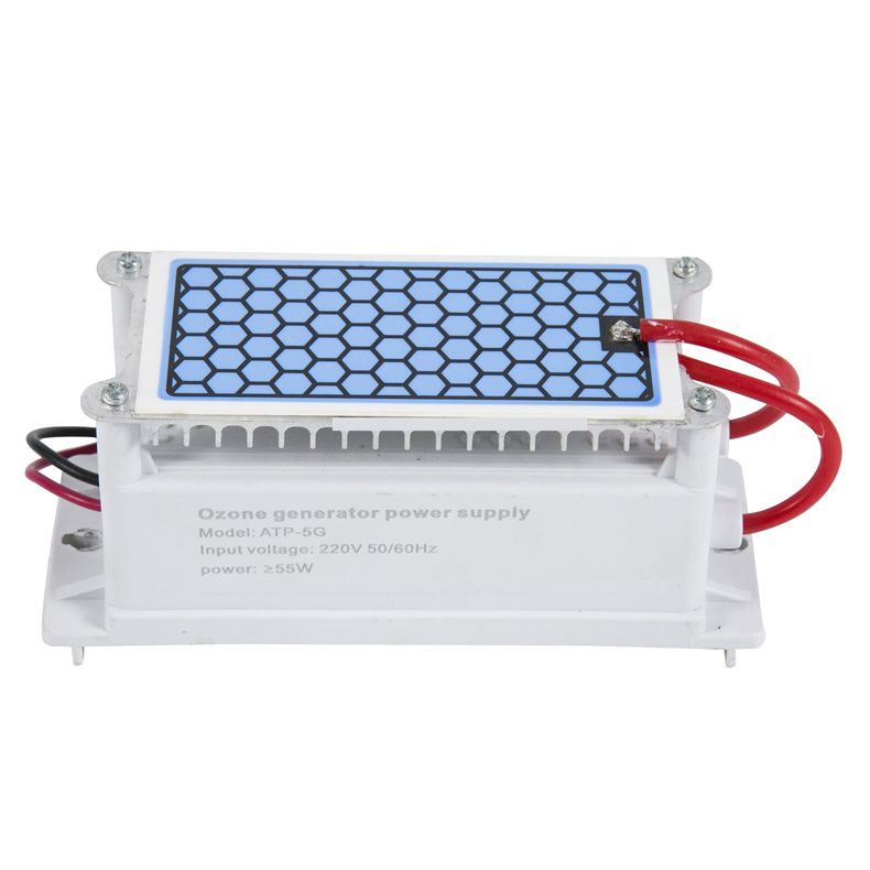 Portable Replacement 12/24/110/220V 5/10/15/20g Ceramic Plate Ozone Generator