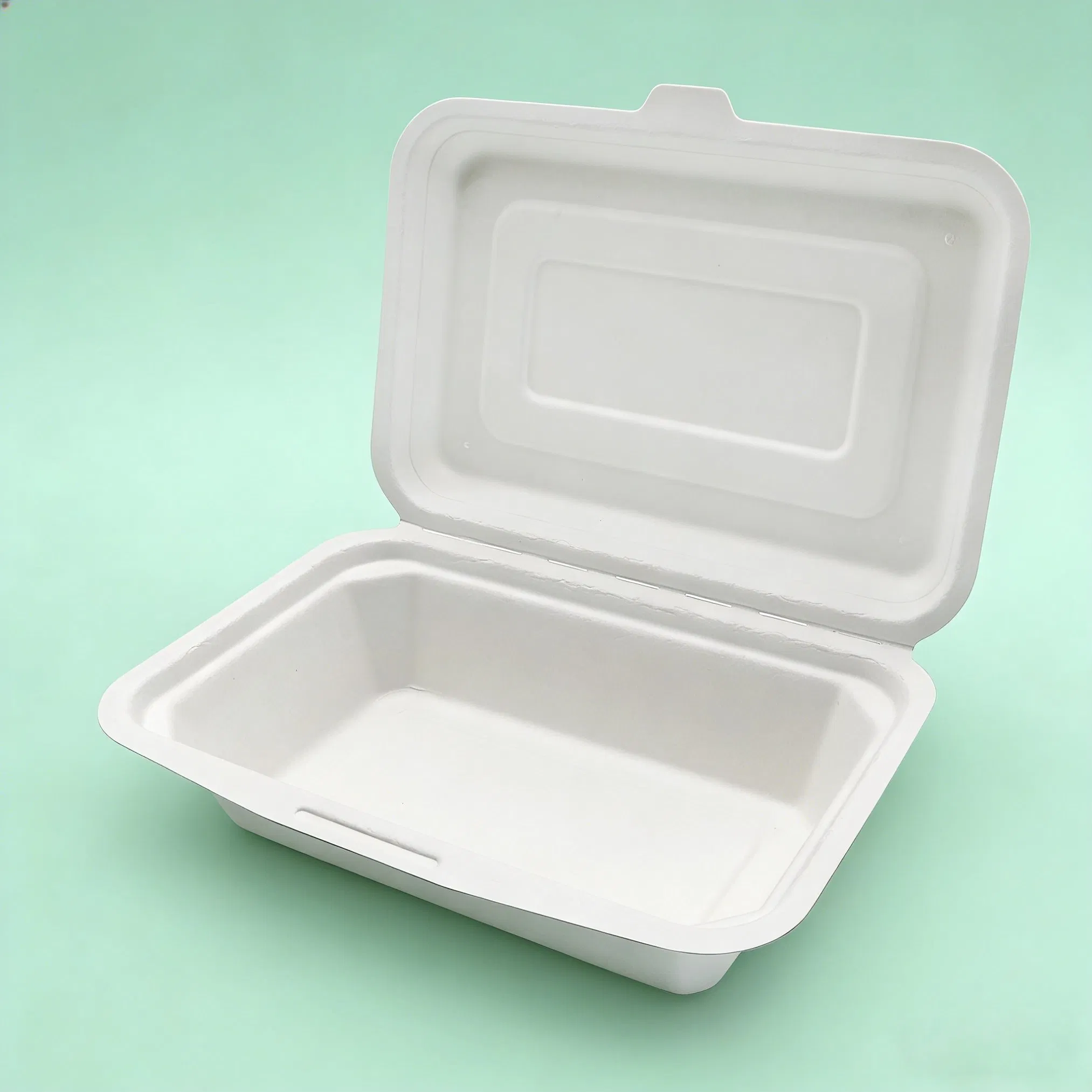 Sugarcane Bagasse Biodegradable Disposable Take out Food Packaging Box Customized for Lunch
