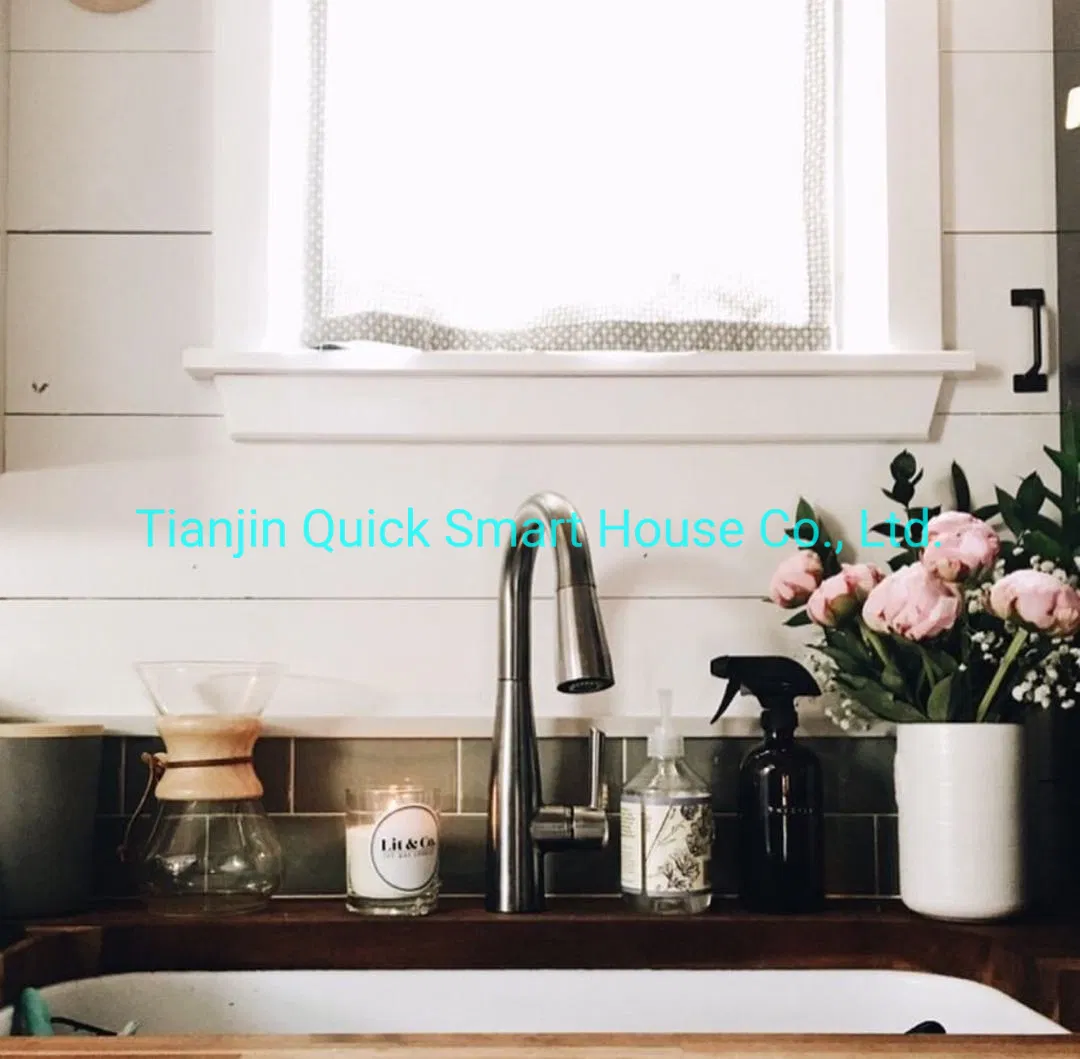 Granny Flat Mini Caravan Teardrop Caravan/Home/Prefabricated House for Wooden House