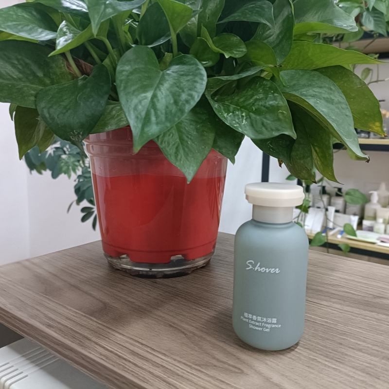 Customizable Hotel Shampoo for SPA and Resorts