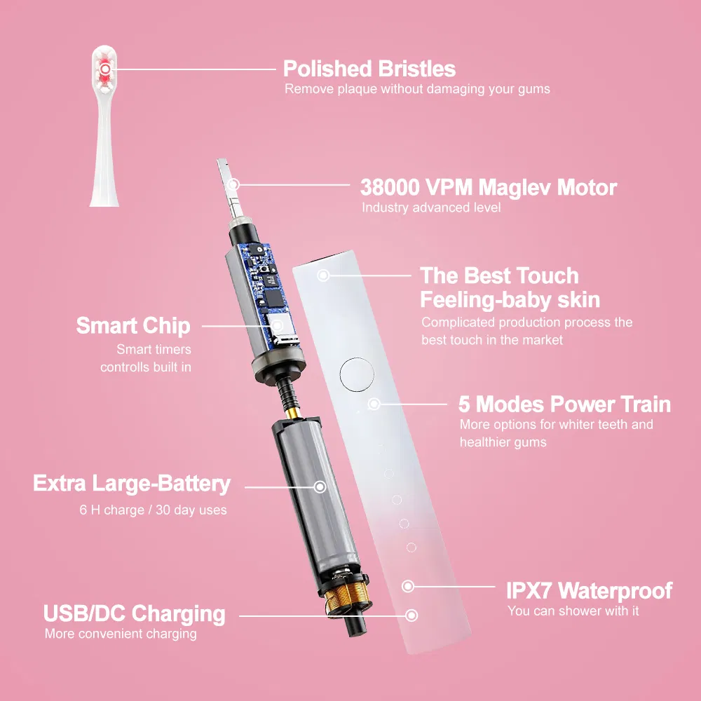 China Factory Wholesale Personalized Travel Portable Smart Waterproof Freshday Sonic Electric Toothbrush