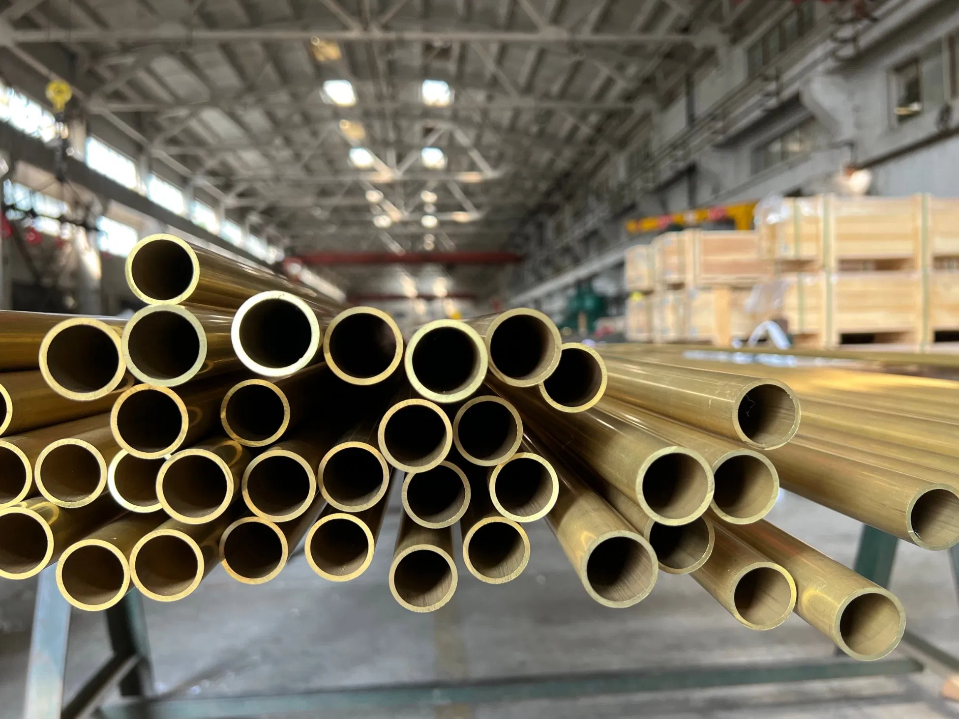 Brass Tube Brass Brass Pipe Hollow Brass Tube H62 C28000 C44300 C68700 Brass Pipe