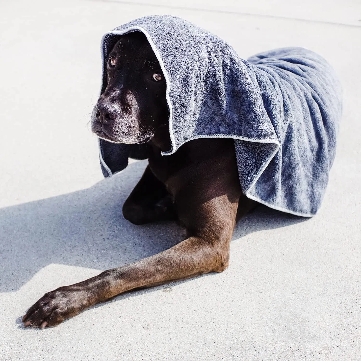Custom Printed Strong Water Absorption Dog Towel Quick Dry Soft Polyester Pet Towel