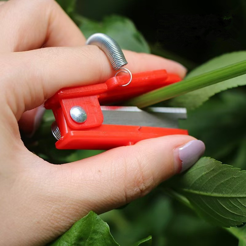 Wholesale High Quality Plastic and Stainless Steel Fruit Picker Ring Knife