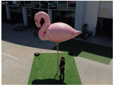 2023 New Realistic Inflatable Iguana